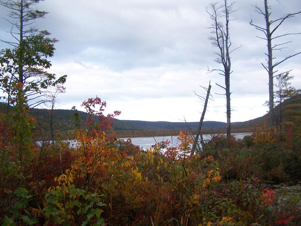 Photo: Labrador Pond Photo: Labrador Pond