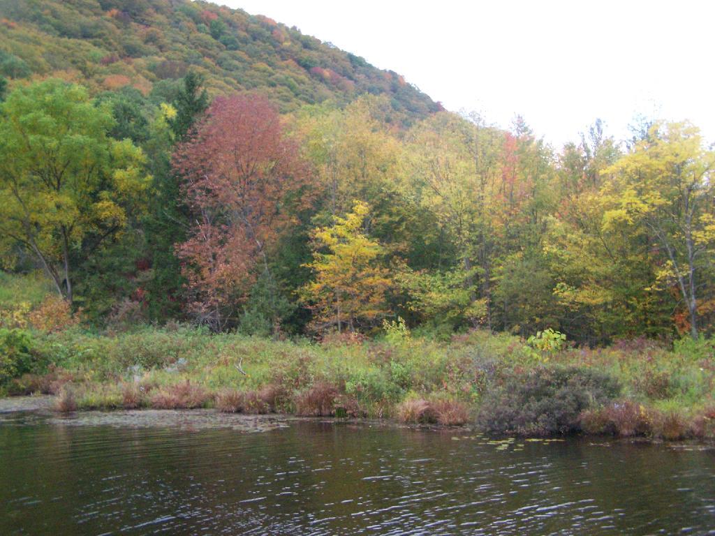 Photo: Labrador Hill and Pond Photo: Labrador Hill and Pond