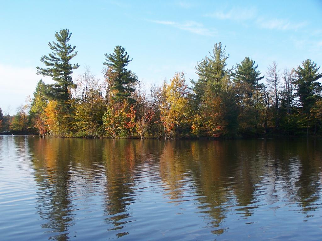 Photo: Fall Colors Along the Reservoir Photo: Fall Colors Along the Reservoir