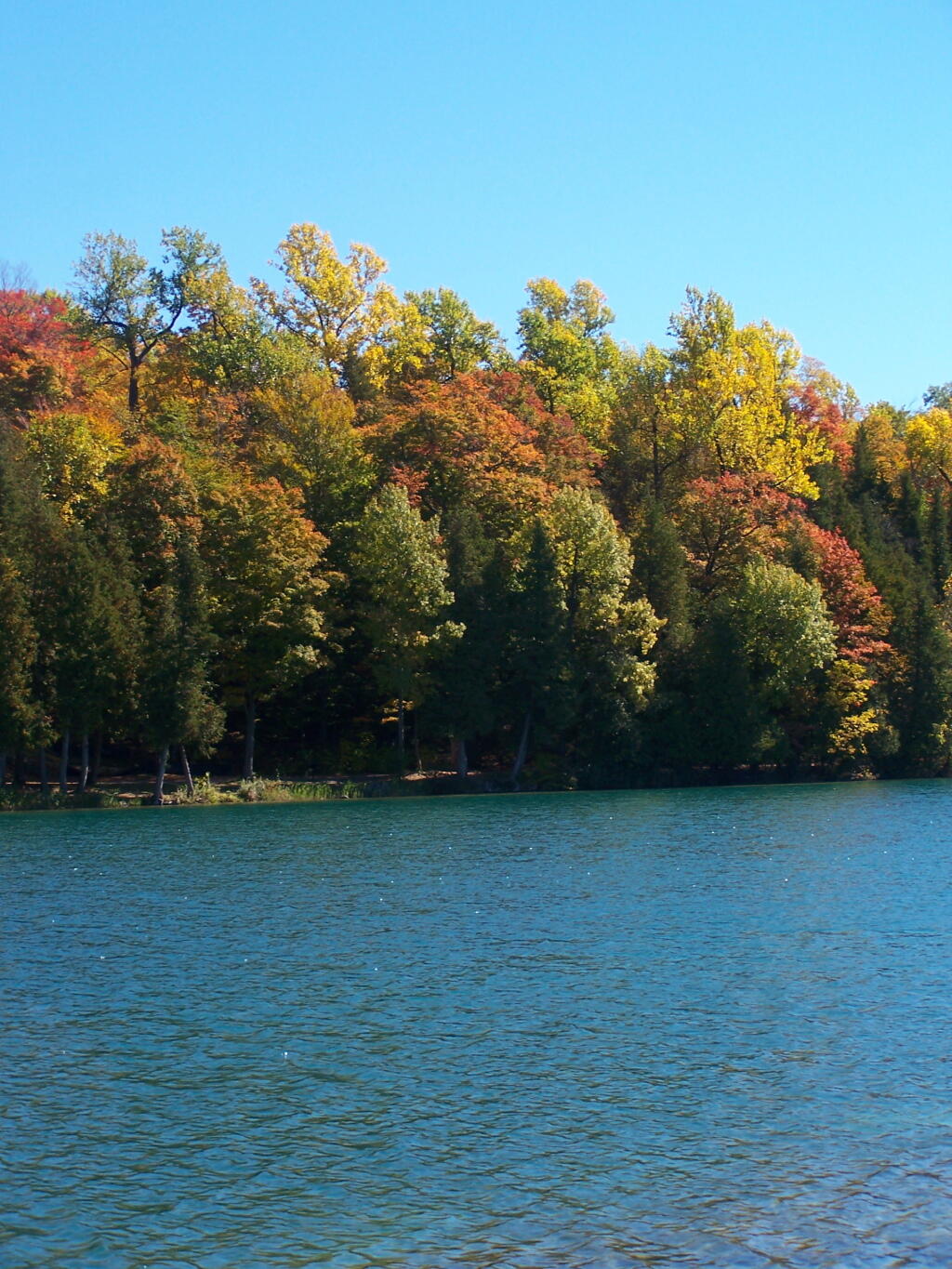 Photo: Very Colorful Trees Photo: Very Colorful Trees
