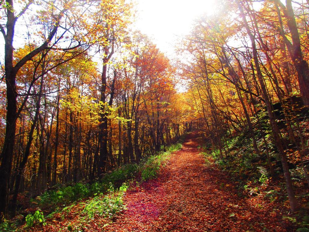 Photo: Despite the Gravel Road, It's a Vigourous Hike Photo: Despite the Gravel Road, It's a Vigourous Hike