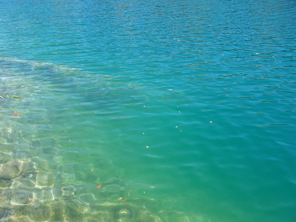 Photo: Green Water Photo: Green Water