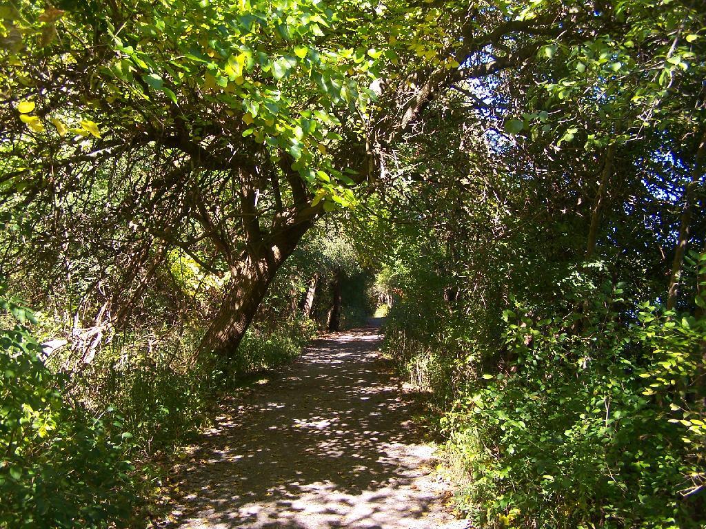 Photo: Trail Photo: Trail