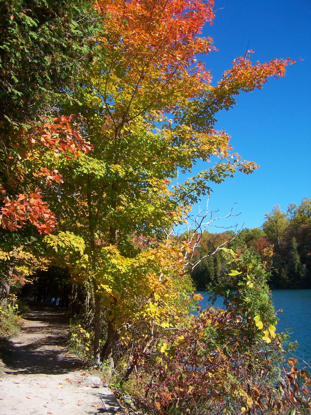 Photo: Path Along Lake Photo: Path Along Lake