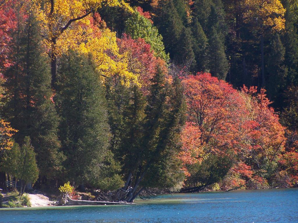 Photo: Looking Across Green Lake Photo: Looking Across Green Lake