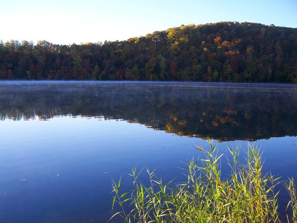 Photo: Untitled