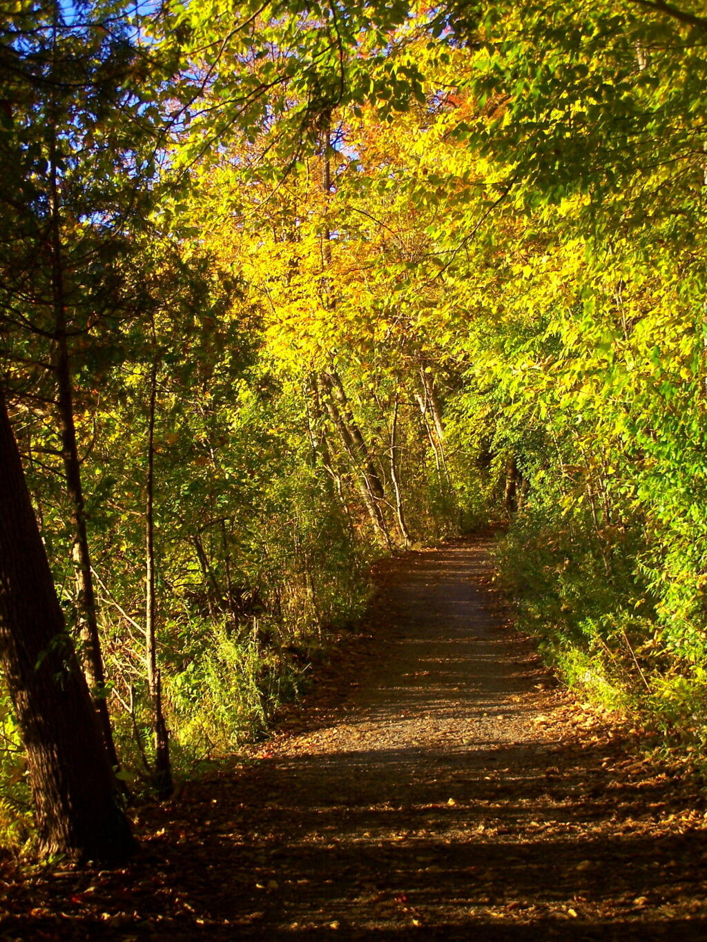 Photo: Untitled Photo: Untitled