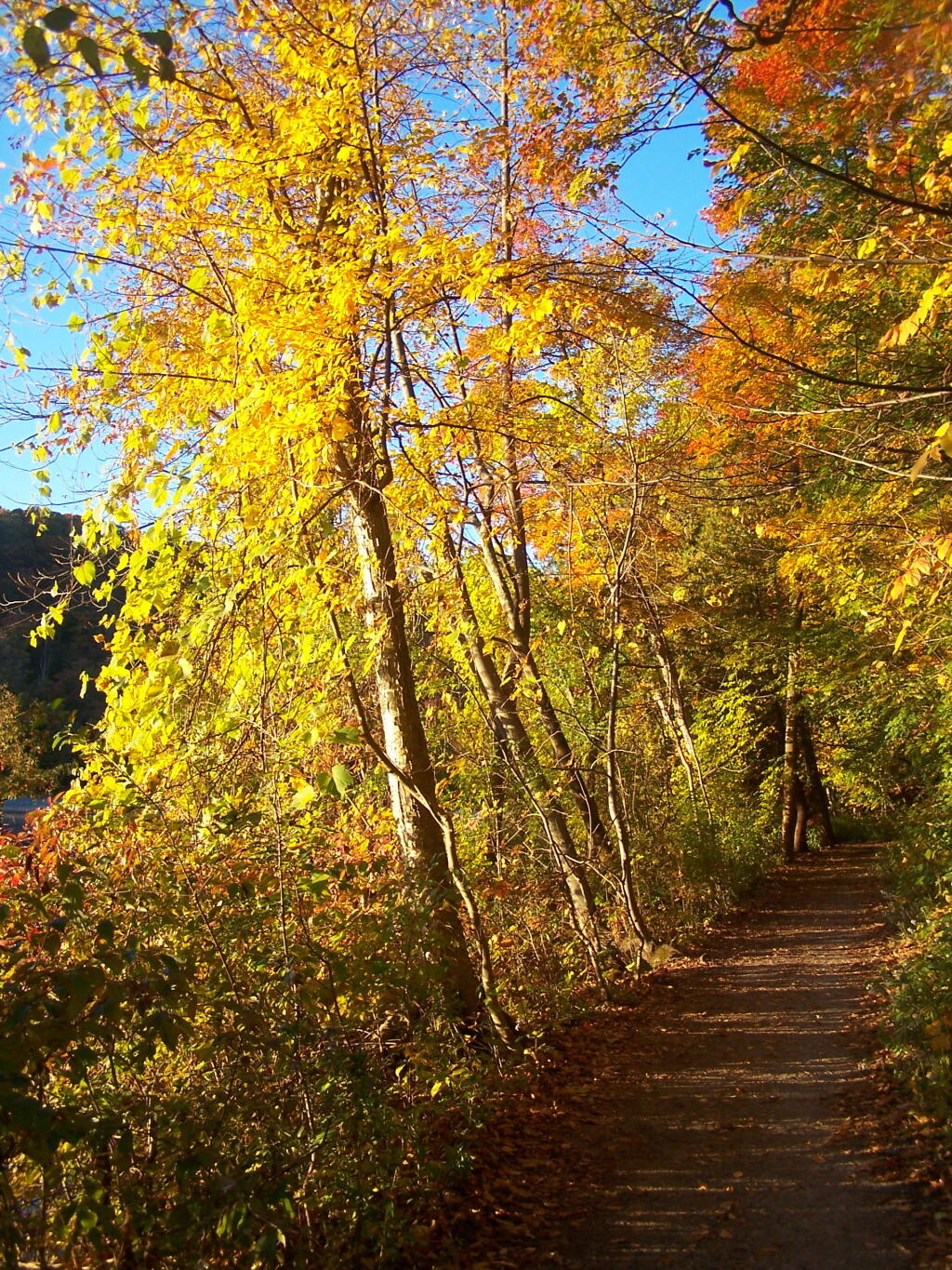 Photo: Fall Morning