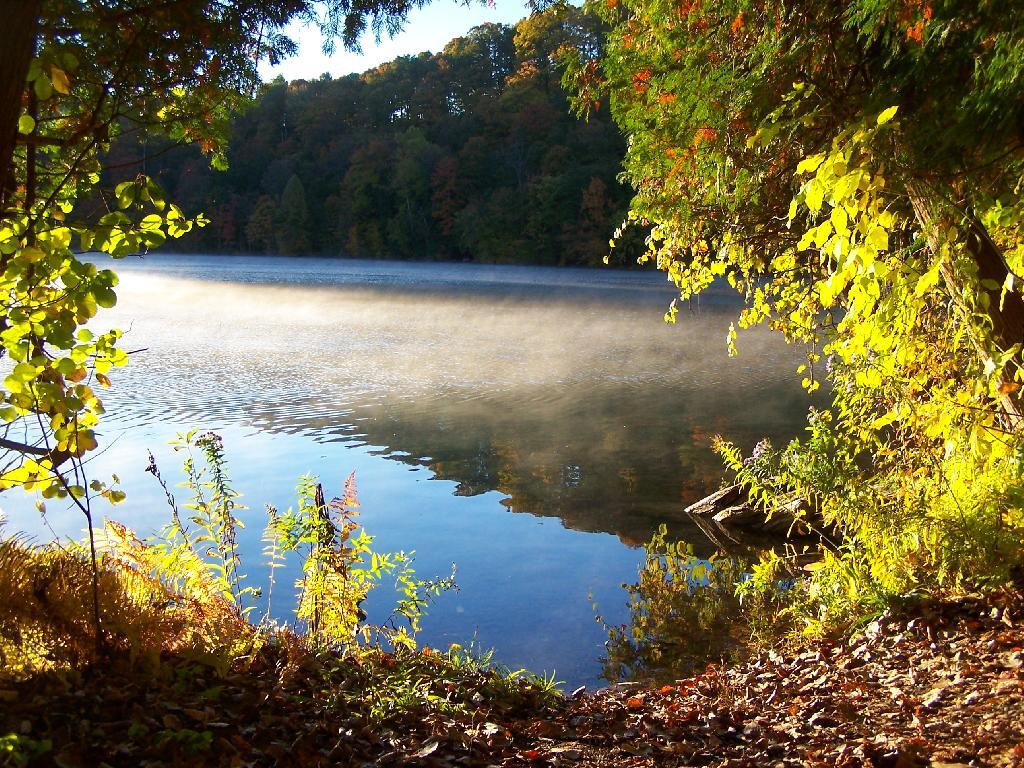 Photo: Fog on Green Lake Photo: Fog on Green Lake