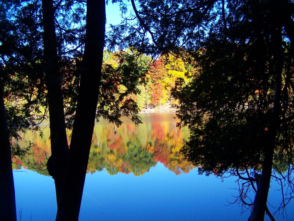 Photo: Walking Along Green Lake Photo: Walking Along Green Lake