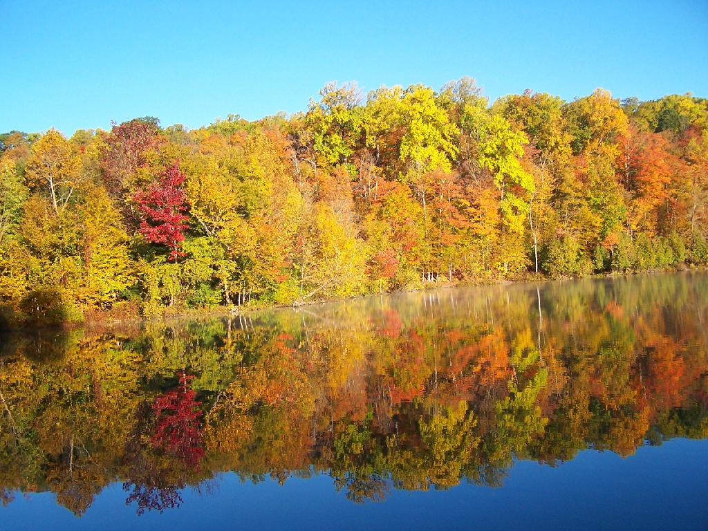 Photo: Colors Photo: Colors