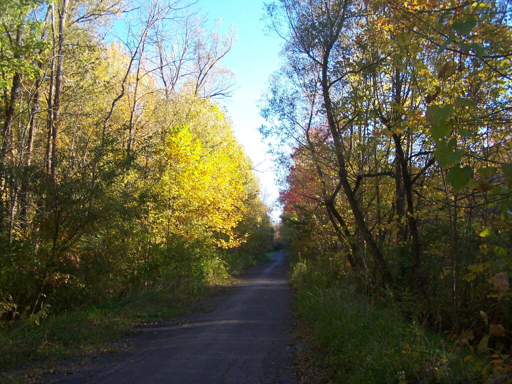Photo: Abandoned Road