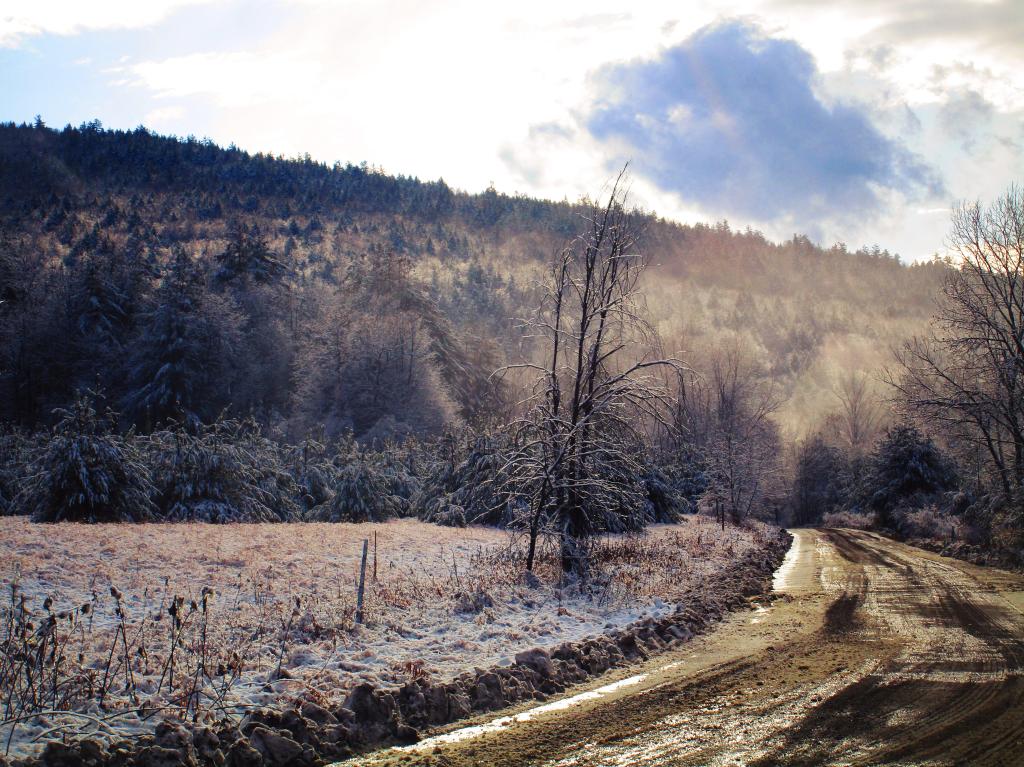 Photo: Frosty Morning Photo: Frosty Morning