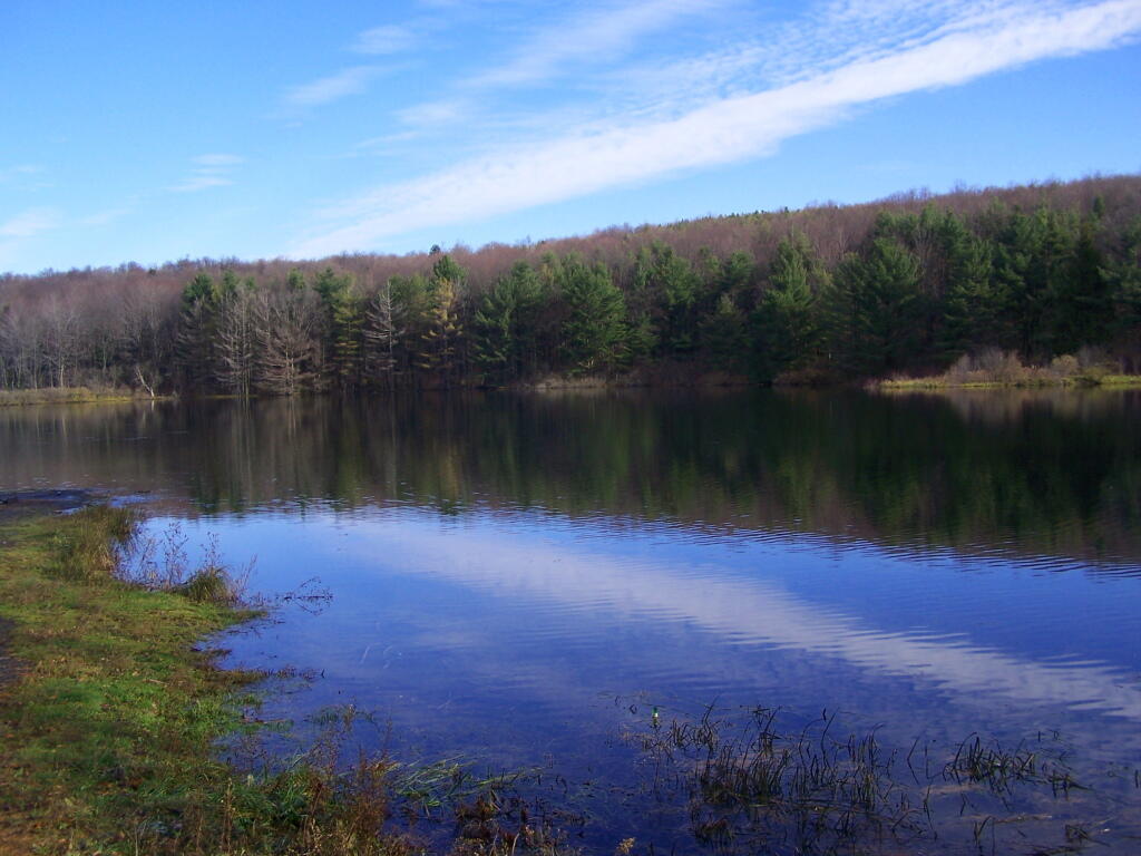 Photo: Stoney Pond