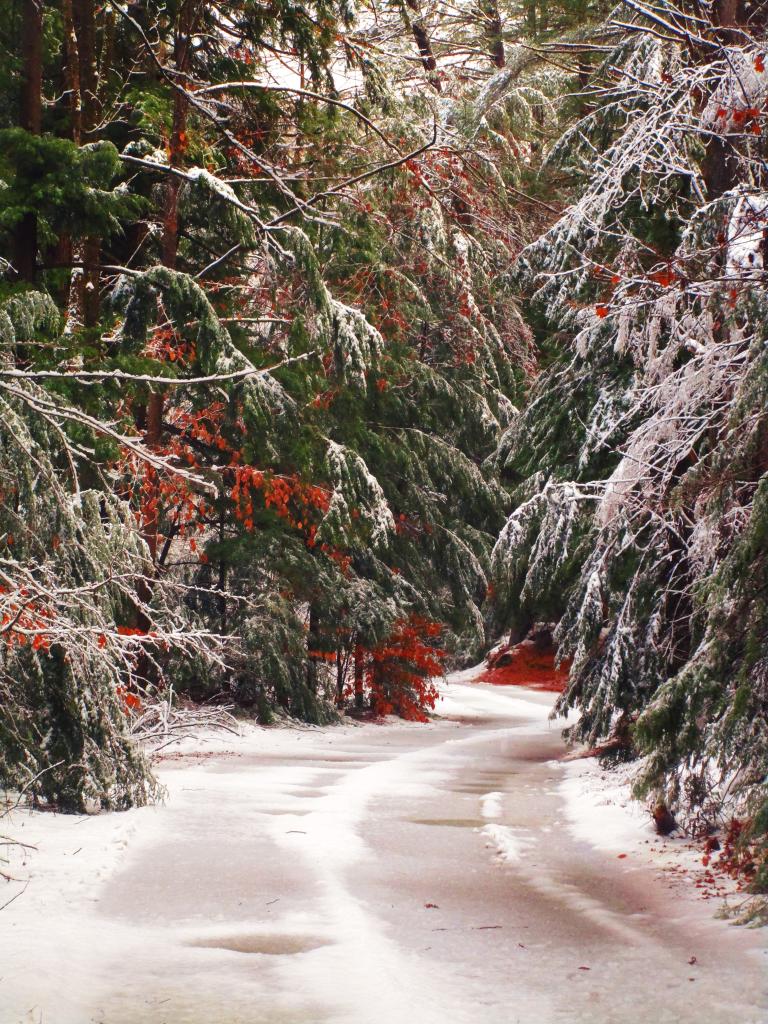 Photo: Icy River Road Photo: Icy River Road