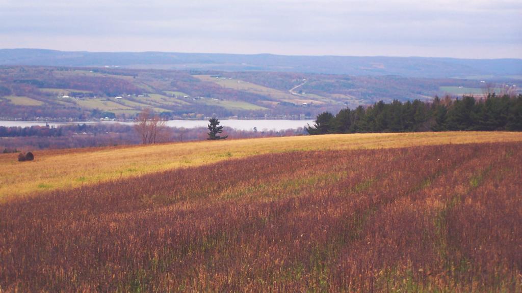Photo: Keuka Lake Photo: Keuka Lake