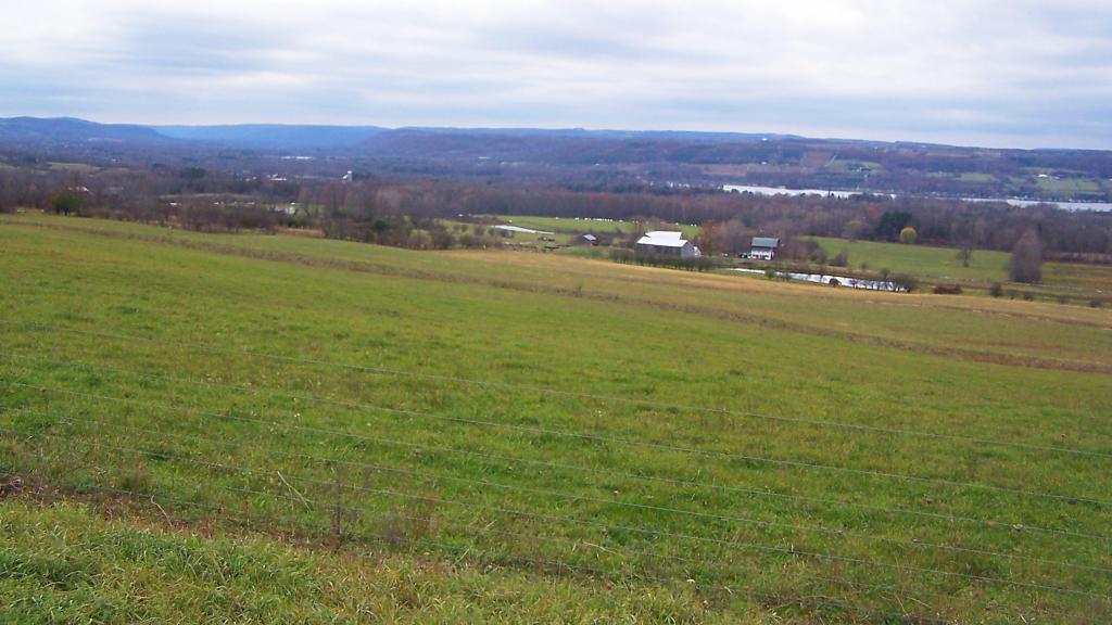 Photo: Pasture