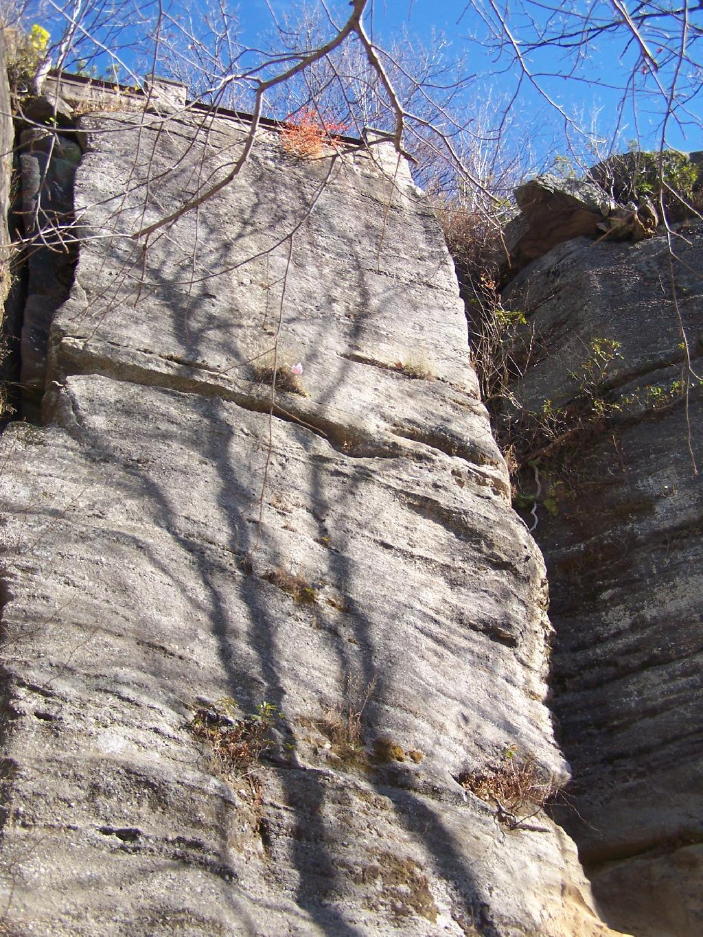 Photo: Looking Up at Rim Rock Photo: Looking Up at Rim Rock