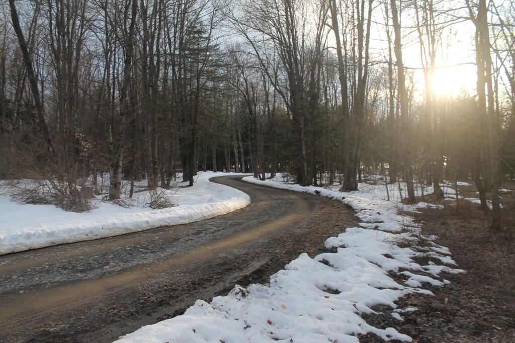 Photo: S Curve in Balsam Pond Road