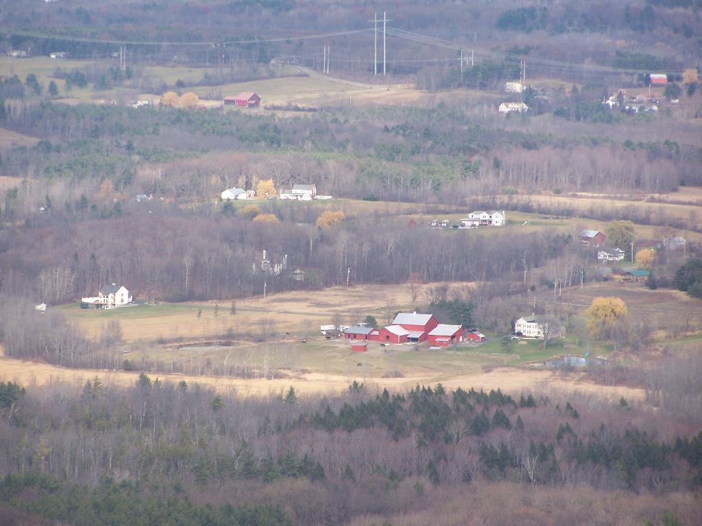 Photo: Horse Farm Photo: Horse Farm