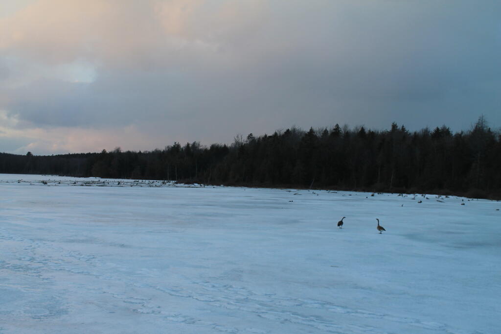 Photo: Cold Night Ahead Photo: Cold Night Ahead