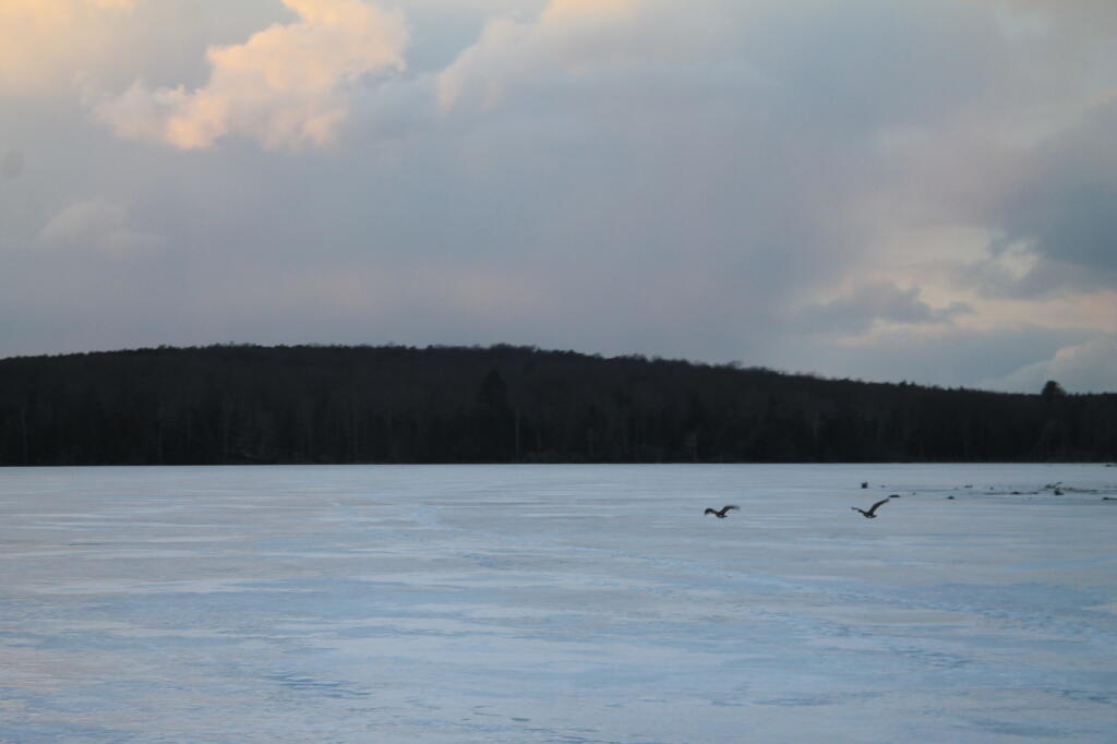 Photo: Evening on Balsam Pond Photo: Evening on Balsam Pond
