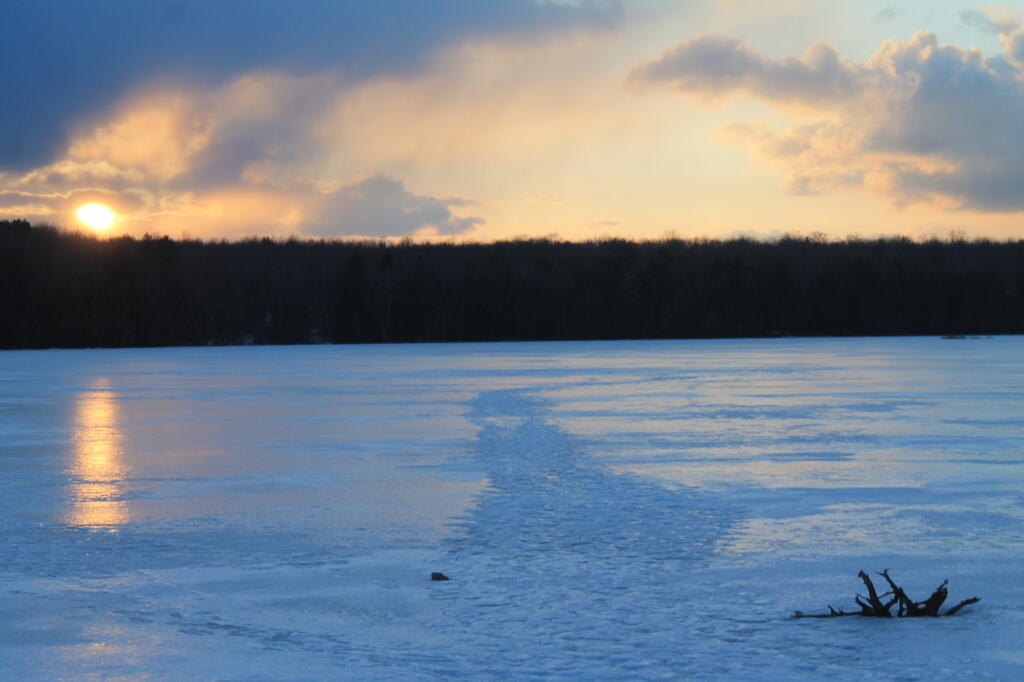 Photo: Evening at Balsam Swamp Photo: Evening at Balsam Swamp