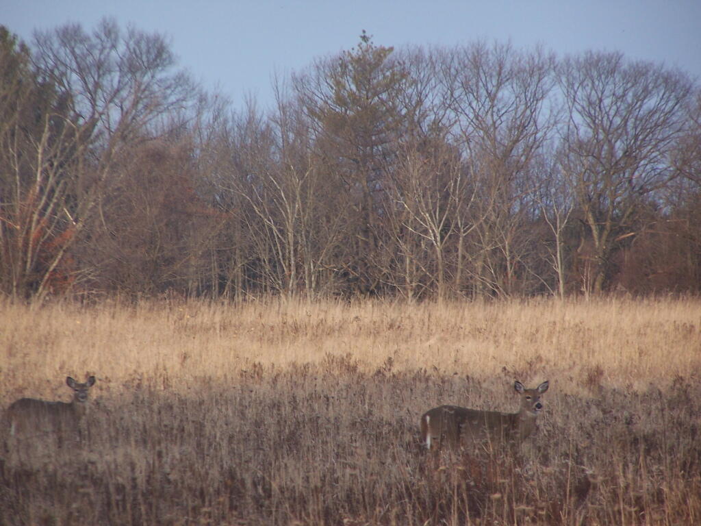 Photo: Sneaking Up On Them Photo: Sneaking Up On Them