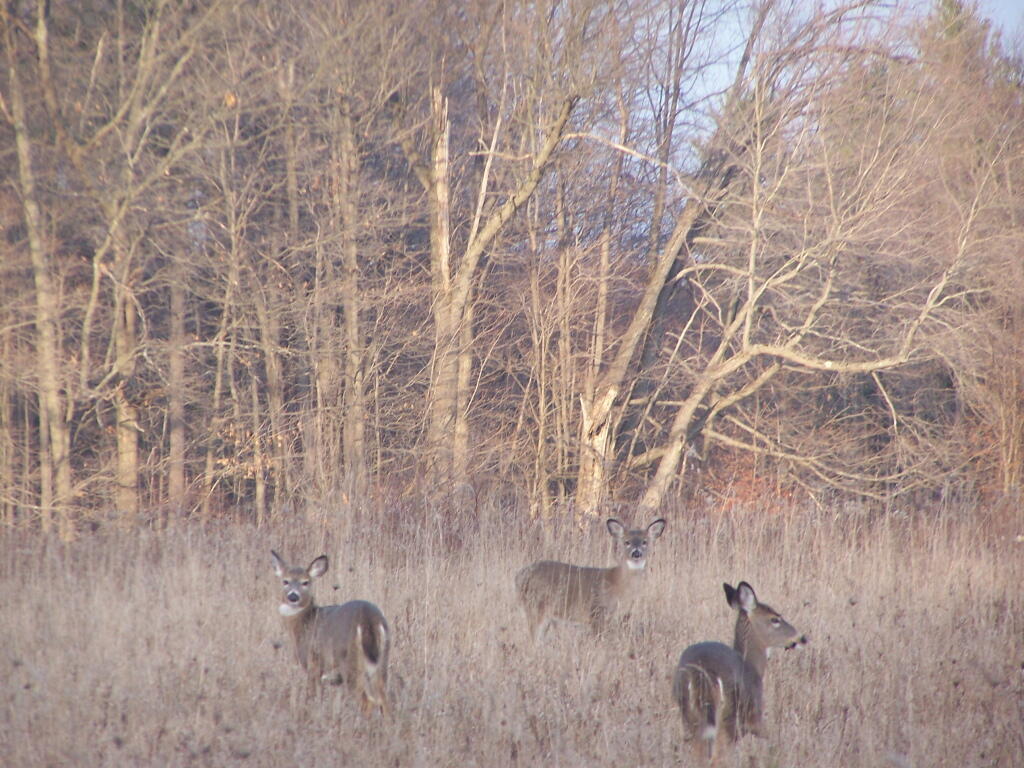Photo: Untitled Photo: Untitled