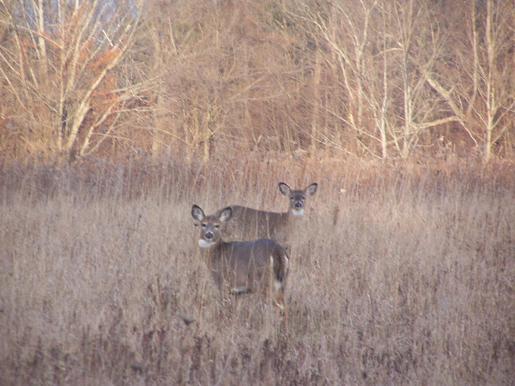 Photo: Untitled Photo: Untitled