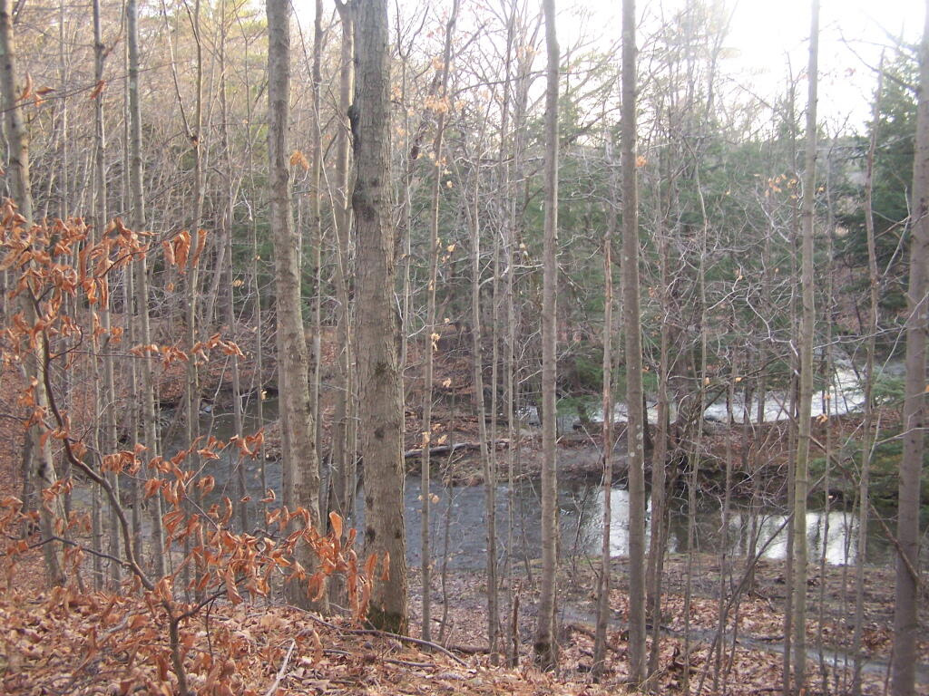 Photo: Vloman Kill Creek Photo: Vloman Kill Creek