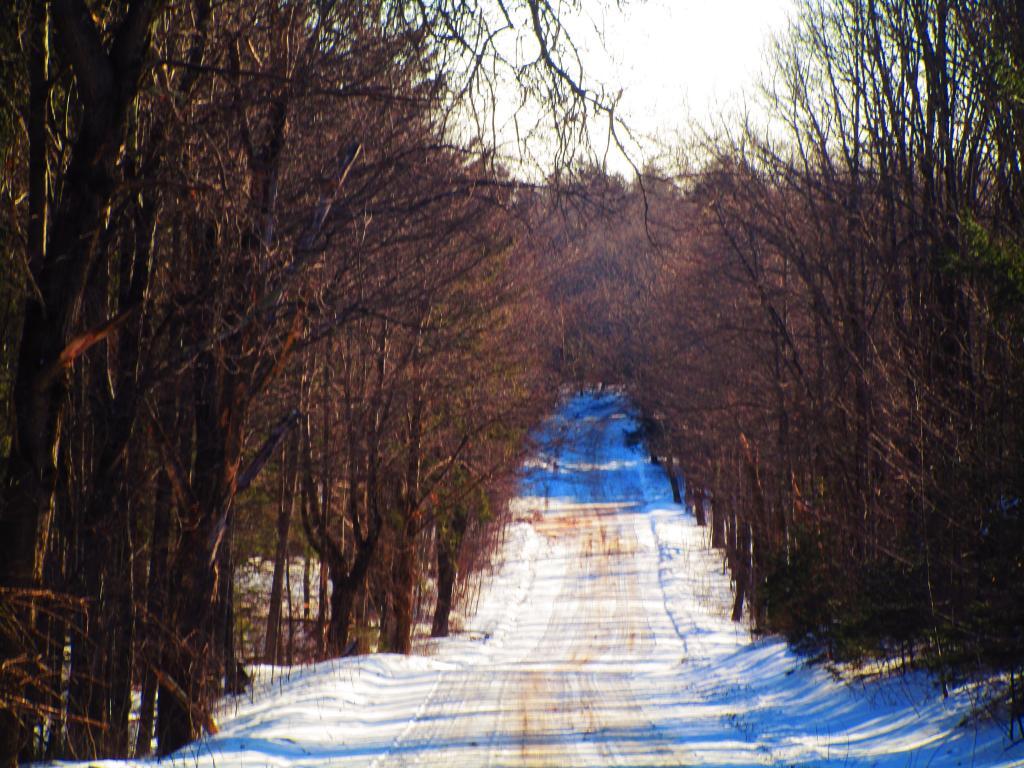Photo: CCC Road Photo: CCC Road