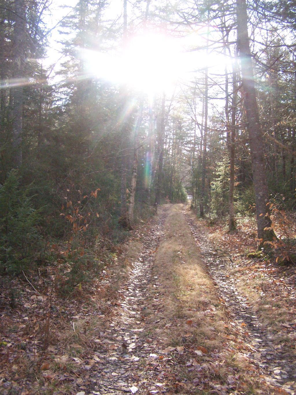 Photo: Campsite Route to NY 8 Photo: Campsite Route to NY 8