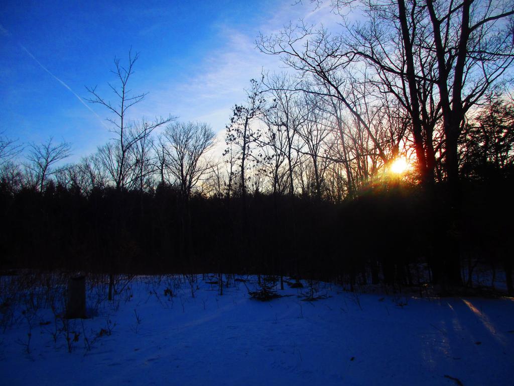 Photo: Sunrise Photo: Sunrise