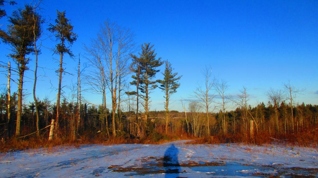 Photo: Hill Above Camp Cass Photo: Hill Above Camp Cass
