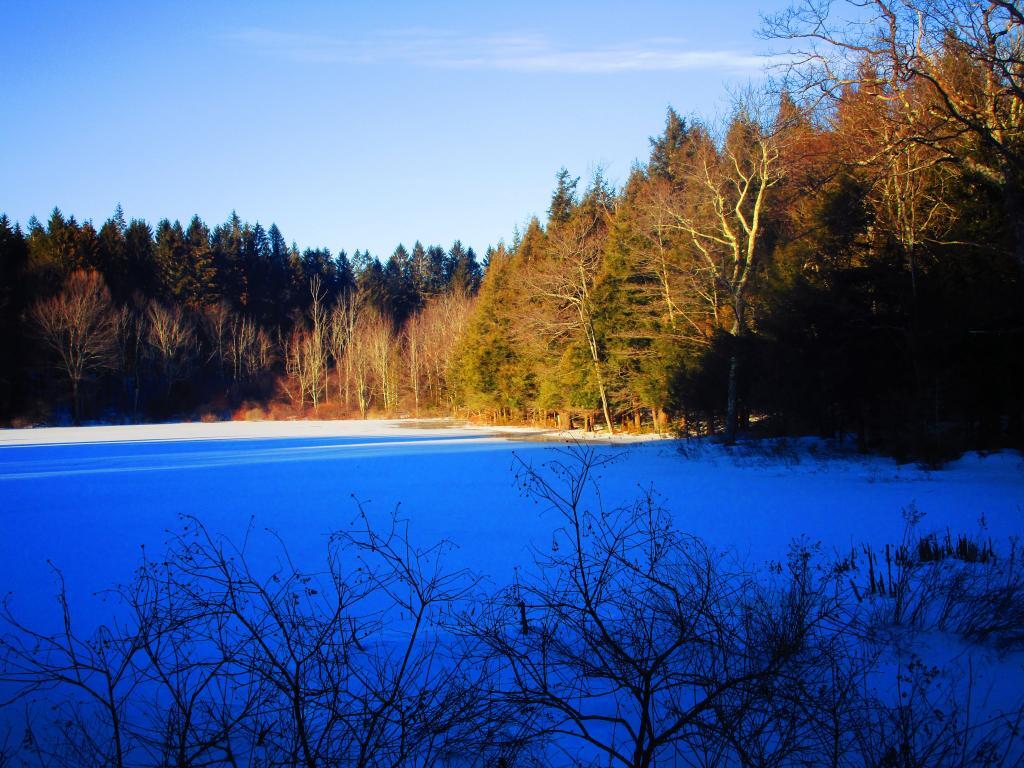 Photo: Pond at Rensselearville State Forest Photo: Pond at Rensselearville State Forest