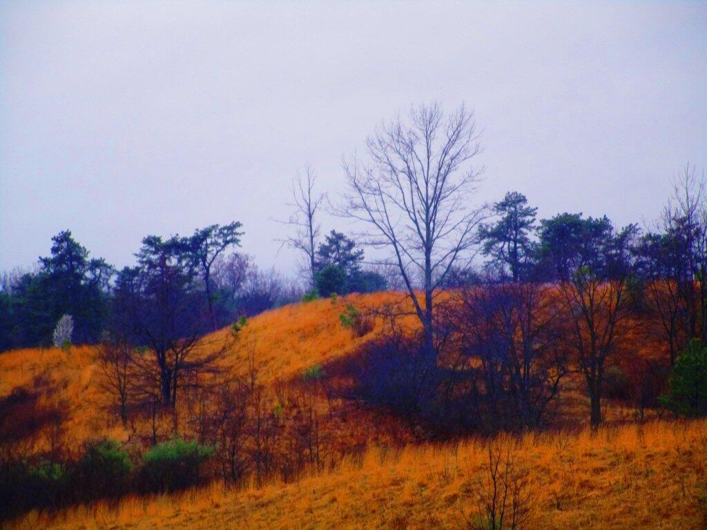 Photo: Dreary Photo: Dreary
