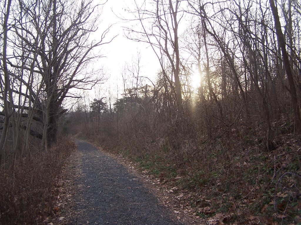 Photo: Along North Path Photo: Along North Path