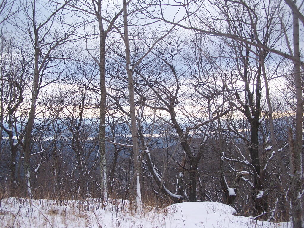 Photo: Ashokan Reservoir Through the Trees Photo: Ashokan Reservoir Through the Trees