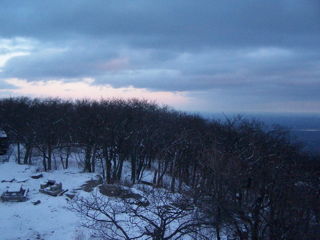 Photo: Trees on Overlook Photo: Trees on Overlook