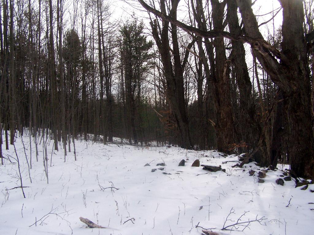 Photo: Snow Covered Tent Site Photo: Snow Covered Tent Site