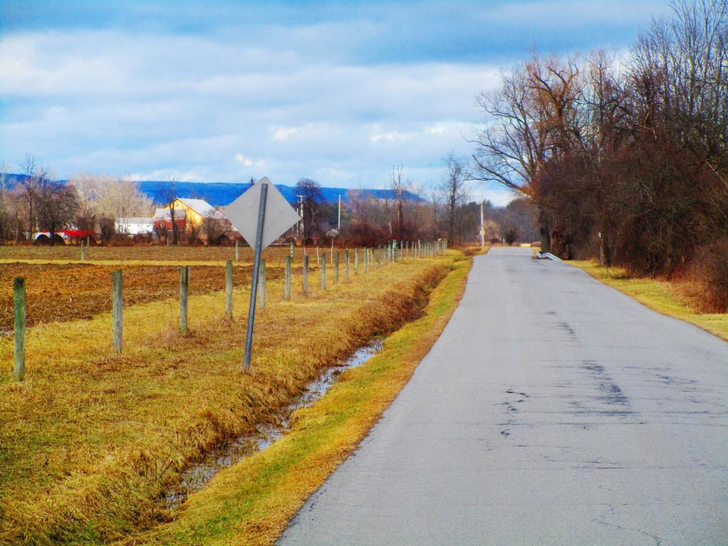 Photo: Meads Road Photo: Meads Road