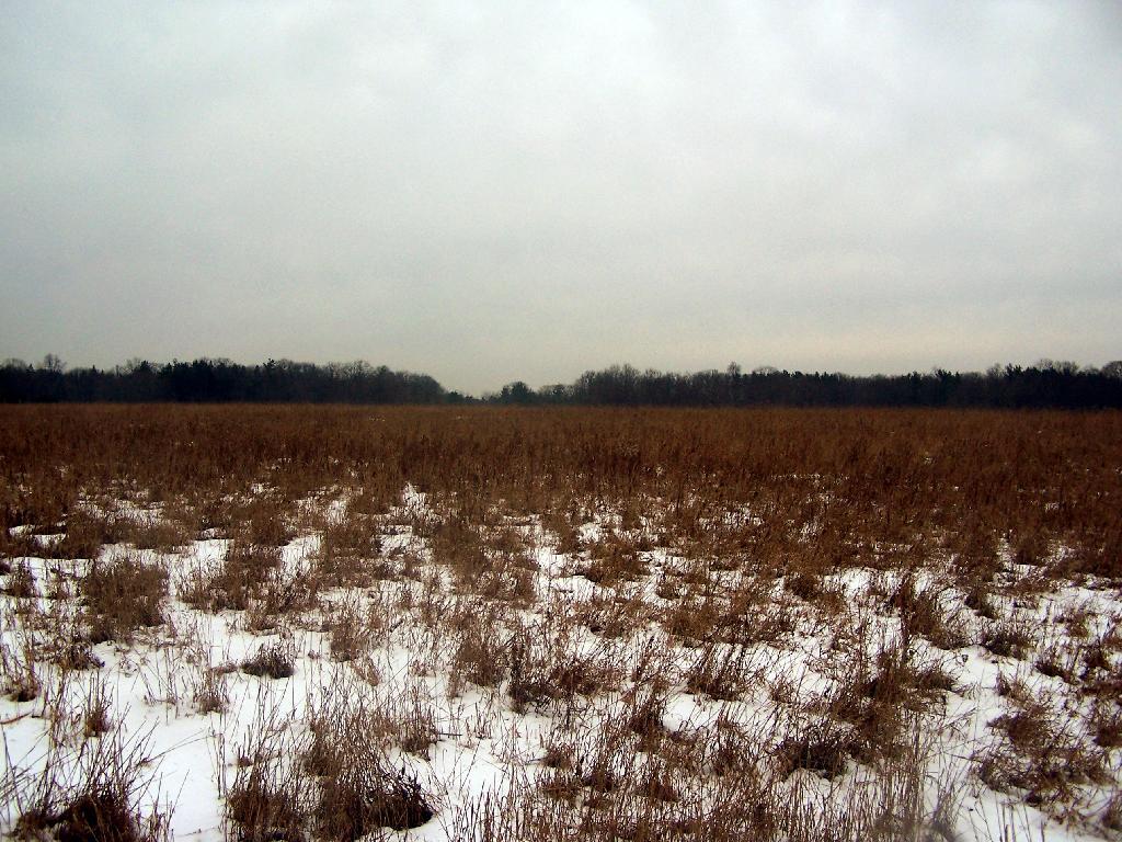 Photo: Gray Field Photo: Gray Field