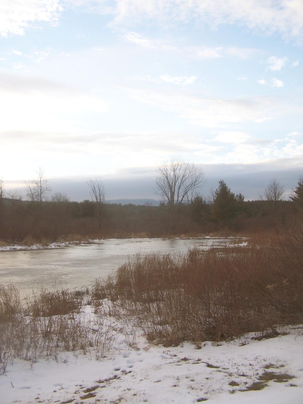 Photo: Pond Photo: Pond