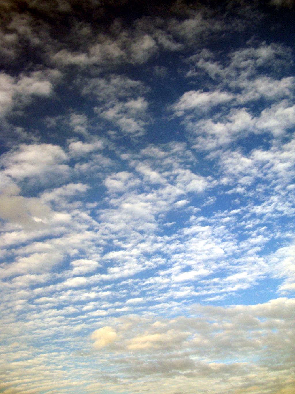 Photo: Clouds
