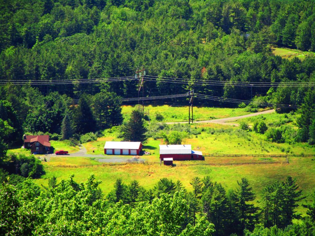 Photo: Maddalla Farm