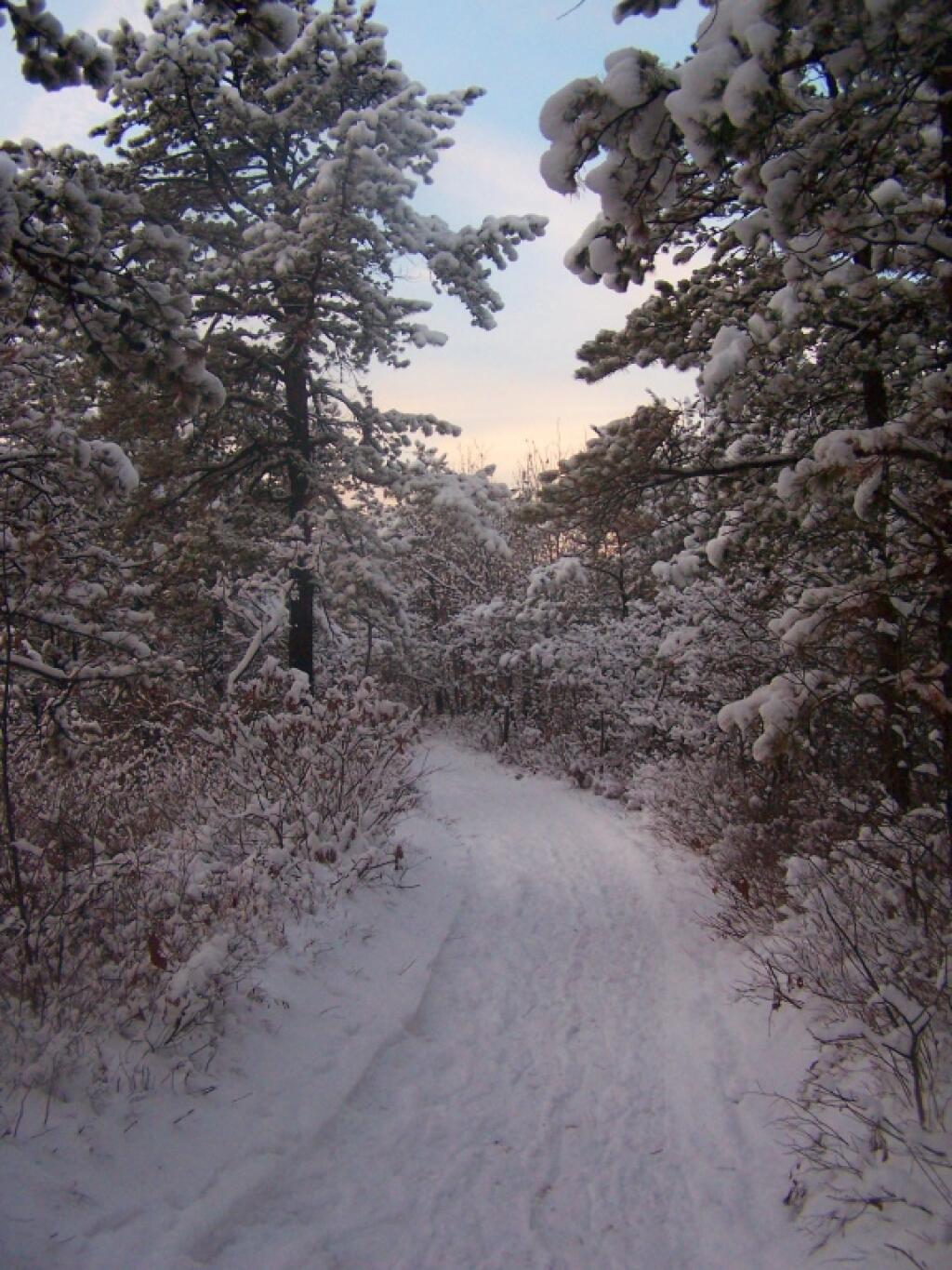 Photo: Walking Along the Trail Photo: Walking Along the Trail