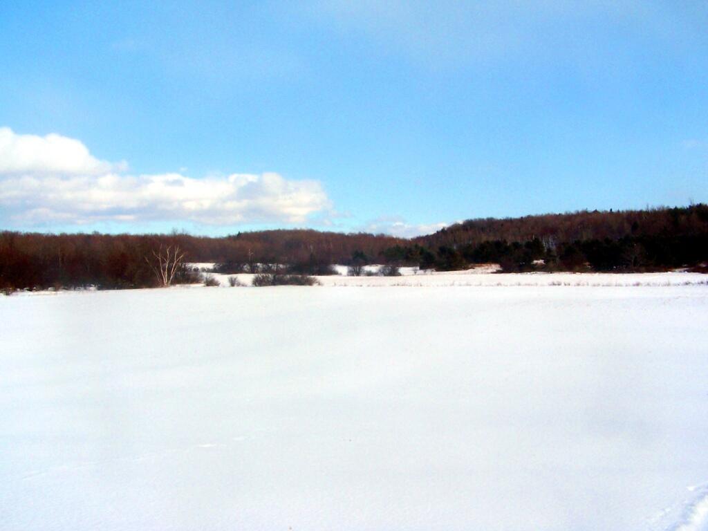 Photo: Snow Covered Farm Fields