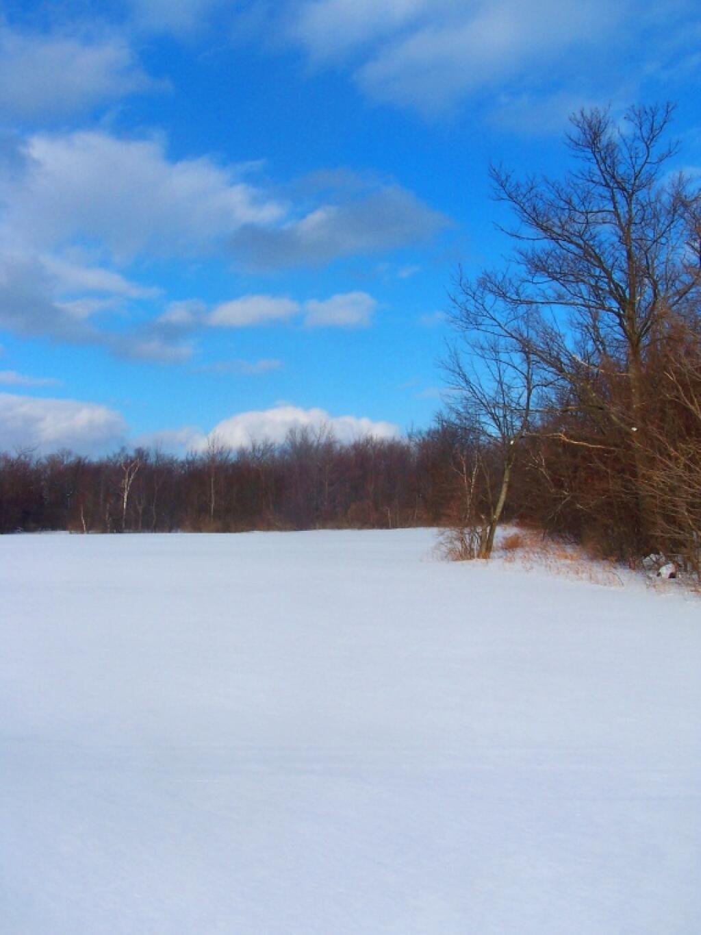 Photo: Crossing a Snow Covered Field