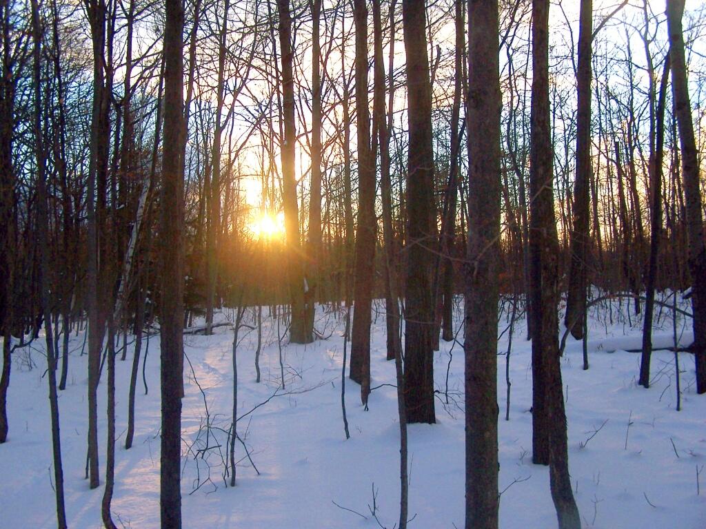 Photo: Setting Sun Photo: Setting Sun
